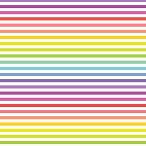 Devonstone Fundamentals - 1/4" Stripe Rainbow