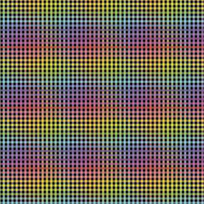 Devonstone Fundamentals - 1/8" Stripe Rainbow Check