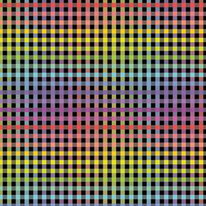 Devonstone Fundamentals - 1/4" Stripe Rainbow Check