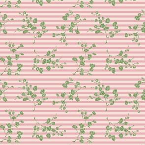 Devonstone Darling Buds Of May - DV7654 Rosaline 1