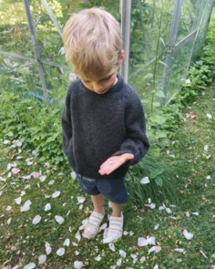 Petite Knit Hanstholm Sweater Junior - Knitting Pattern / Kit