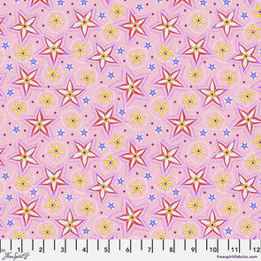 Free Spirit Anna Maria Horner Little Nashville - Spring || Welcome Home