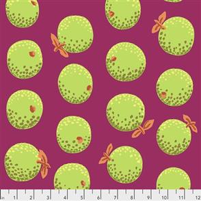 Free Spirit Kaffe Fassett Fabric - Oranges - Lime