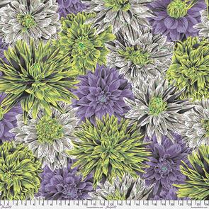 Free Spirit Kaffe Fassett - Bursting Stripes - Contrast || August 2026