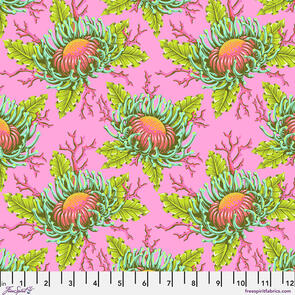 Free Spirit Tula Pink - Friends & Anemones - Coralline || Floral Reef