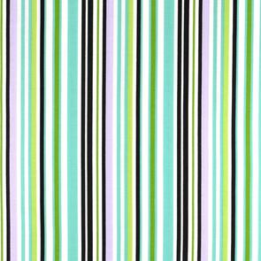 RJR Crazy For Dots & Stripes Crazy For Dots & Stripes R8173/012