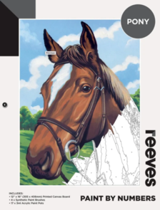 Reeves Paint by Number - Portrait Pony/Horse
