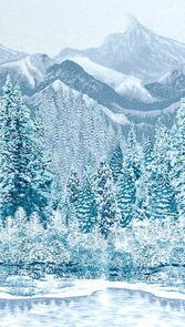 Robert Kaufman * SRKM-19267-277 WINTER