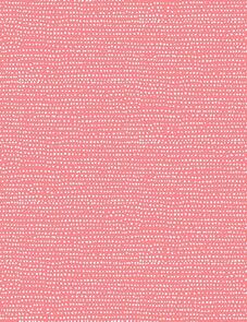 Dear Stella Moonscape Basics - Aurora