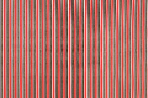 Michael Miller Pod Stripe Clementine
