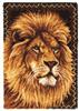 Caron Wonderart Latch Hook Kit - Lion - Large Rug Kit