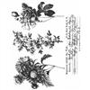 Stampers Anonymous Tim Holtz - Cling Stamps 7"X8.5" - Flower Shop