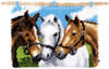 Vervaco Latch Hook Rug Kit Horses