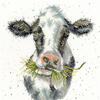 Bothy Threads Milk Maid Cross-Stitch Kit