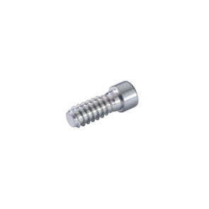 LAMELLO CABINEO X 12 SCREW (2000 PIECES)