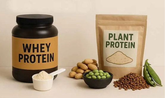 Whey Isolate vs Plant Protein Isolate: Muscle Building Guide