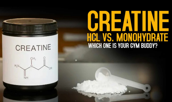 Creatine Monohydrate vs HCL: Which is Best? | Sprint Fit