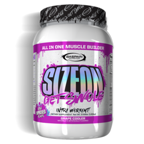 GASPARI SIZE ON MAX PERFORMANCE 24 SERVES