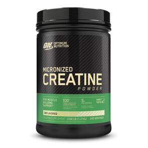 OPTIMUM NUTRITION MICRONISED CREATINE POWDER
