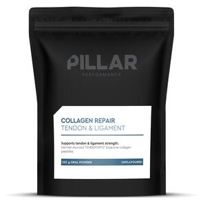 PILLAR PERFORMANCE COLLAGEN REPAIR 255 G